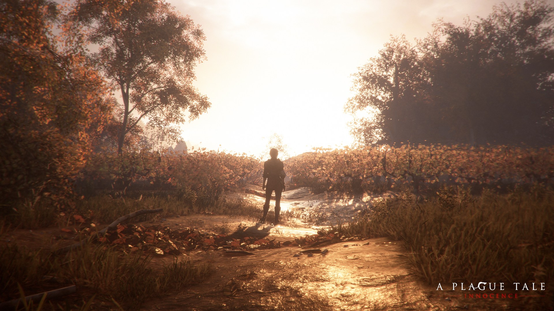 A Plague Tale: Innocence - Imagen 36